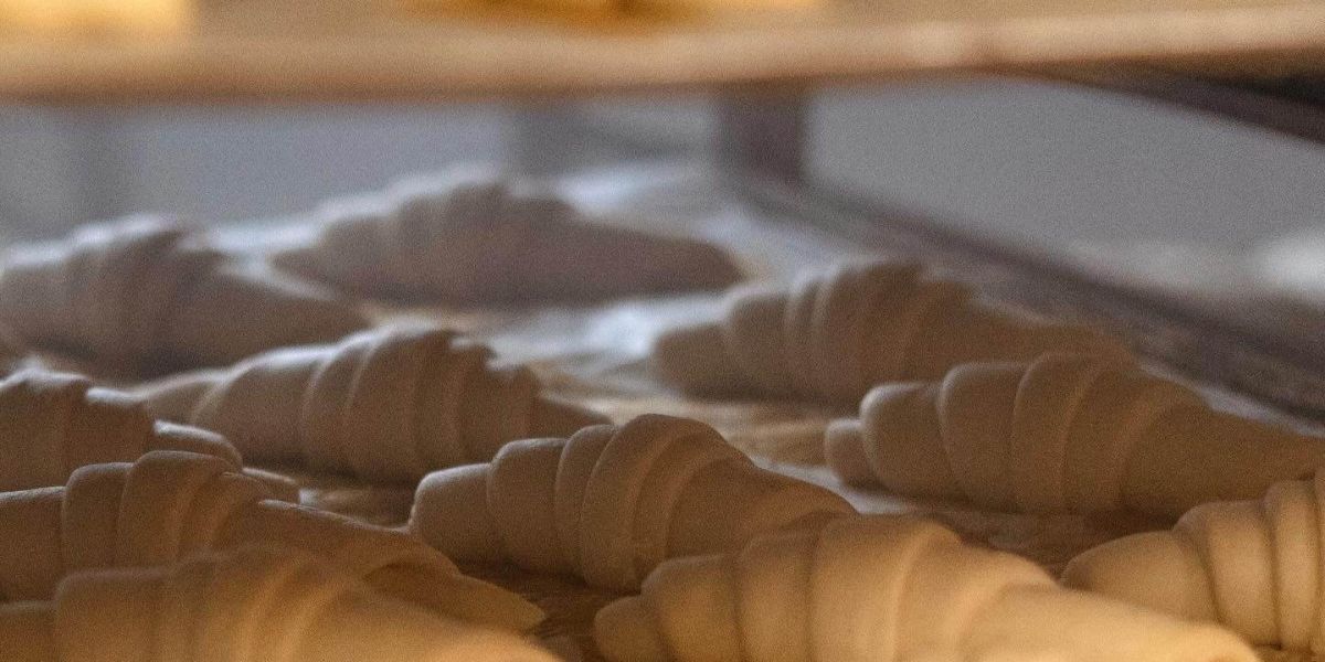 Vegan bei Dinkelking - Brote in der Theke