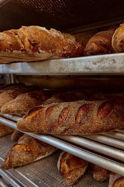 Steinofenbrot online kaufen