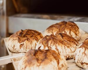 News-Produktauswahl: Brote