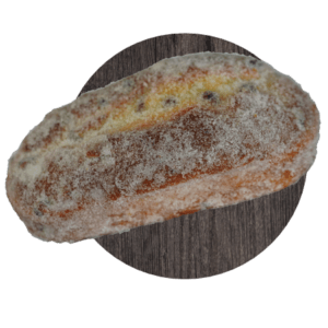 Quarkstollen 450g